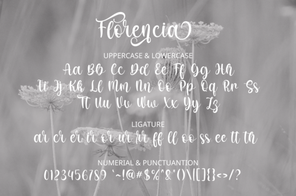 Florencia Font Poster 8