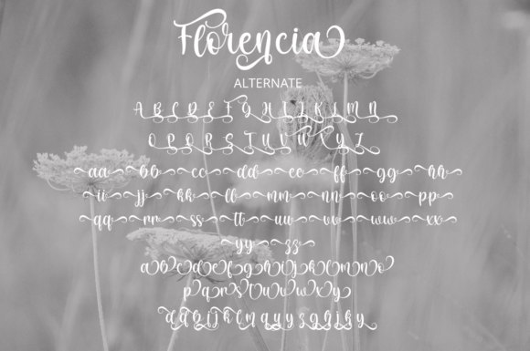 Florencia Font Poster 9