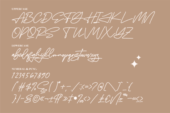 Futuristica Signatera Font Poster 13