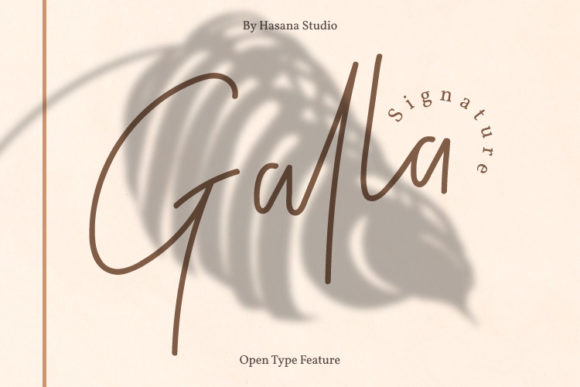 Galla Signature Font Poster 1