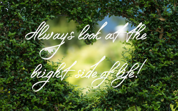 Galyna Leaffe Font Poster 11