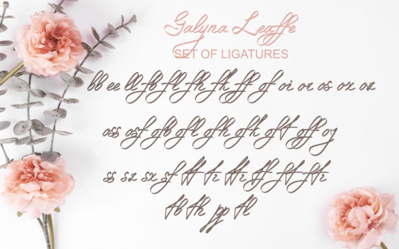Galyna Leaffe Font Poster 18