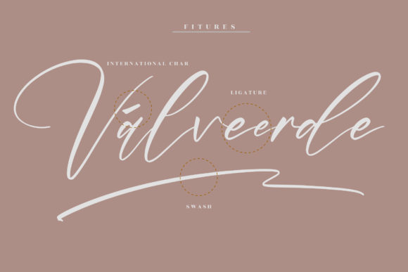 Gashina Beauty Font Poster 12