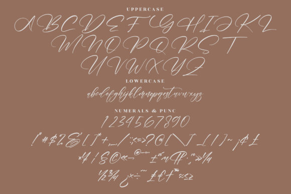 Gashina Beauty Font Poster 14
