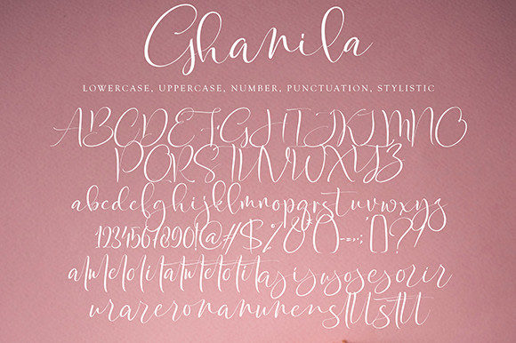 Ghanila Font Poster 11