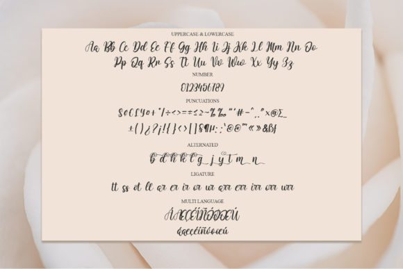 Golden Girls Font Poster 6