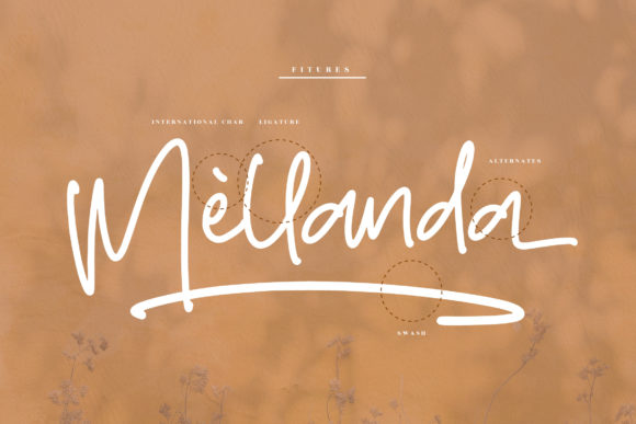 Gollden Hourse Font Poster 12