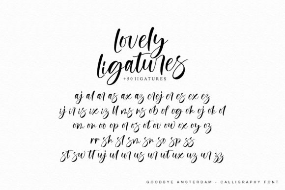 Goodbye Amsterdam Font Poster 11