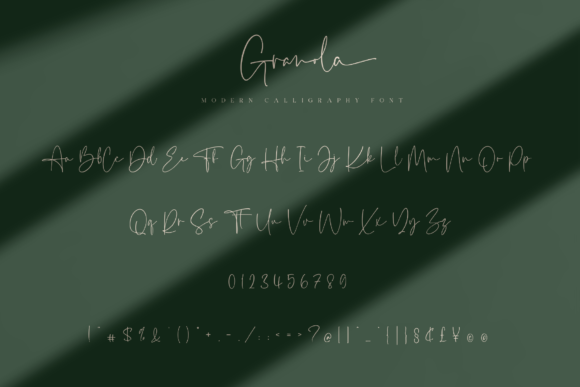 Granola Font Poster 10