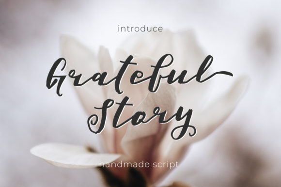 Grateful Story Font Poster 1