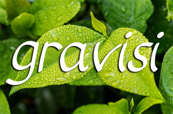 Gravisi Font