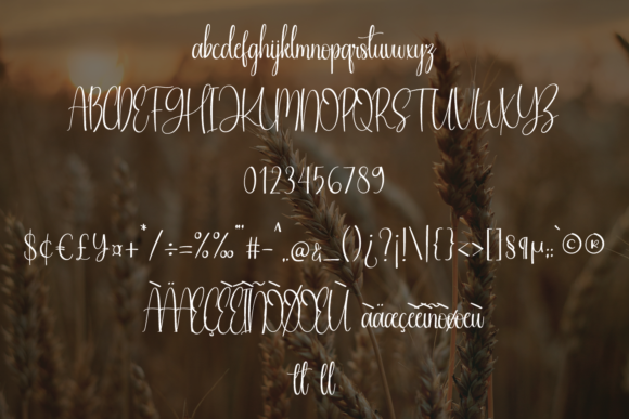 Hallo Sunrise Font Poster 6