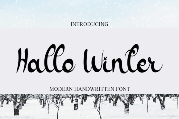 Hallo Winter Font Poster 1