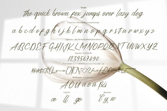 Halsyin Font Poster 6