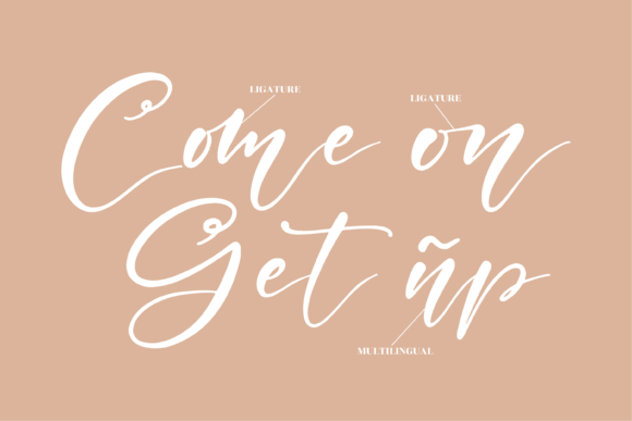Hamida Lovely Font Poster 12