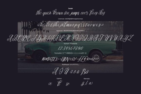 Hamillon Font Poster 6