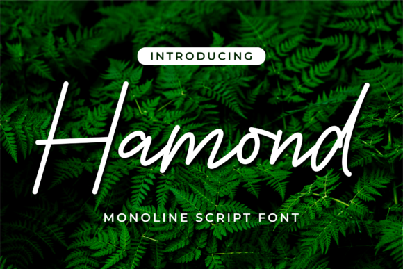 Hamond Font Poster 1