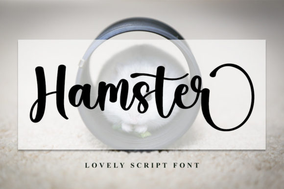 Hamster Font Poster 1