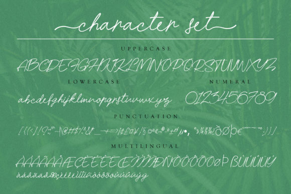 Hanamara Font Poster 2