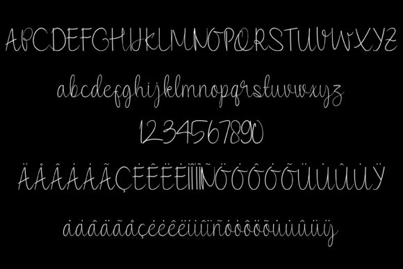 Hand Lettering Thin Font Poster 4