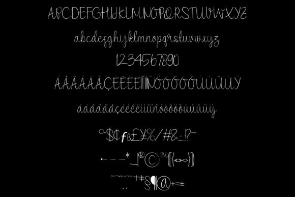 Hand Lettering Thin Font Poster 5