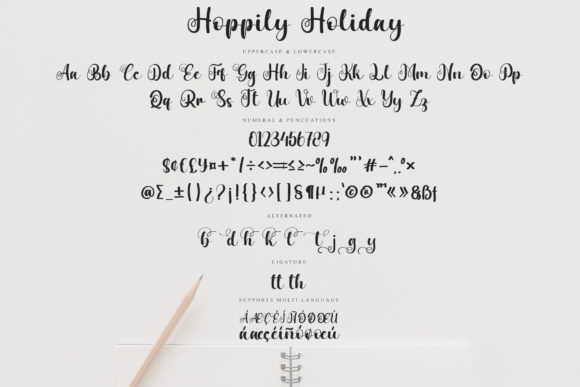 Happily Holiday Font Poster 5