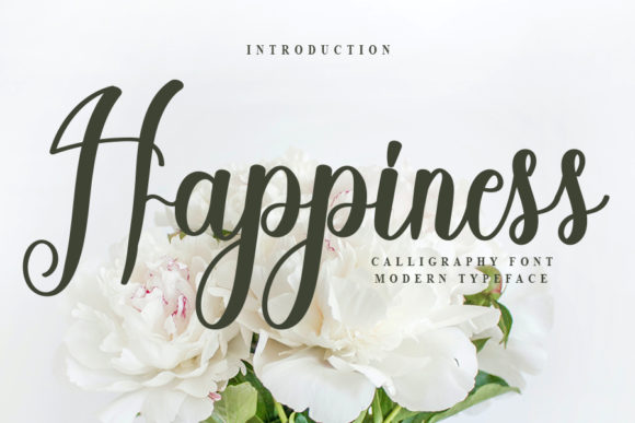 Happiness Font Poster 1