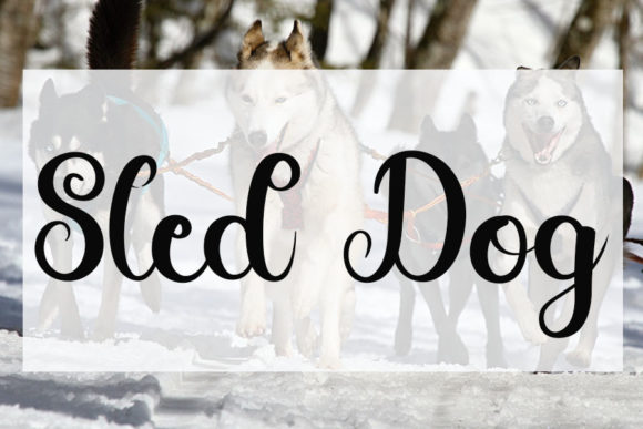 Happy Winter Font Poster 3