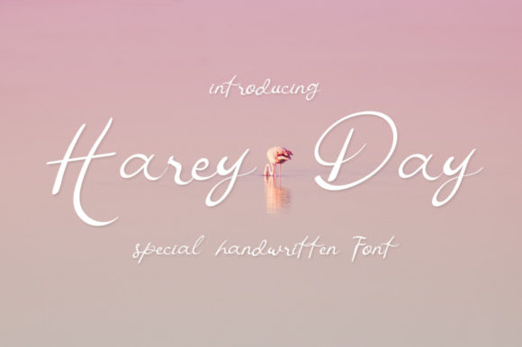 Harey Day Font Poster 1