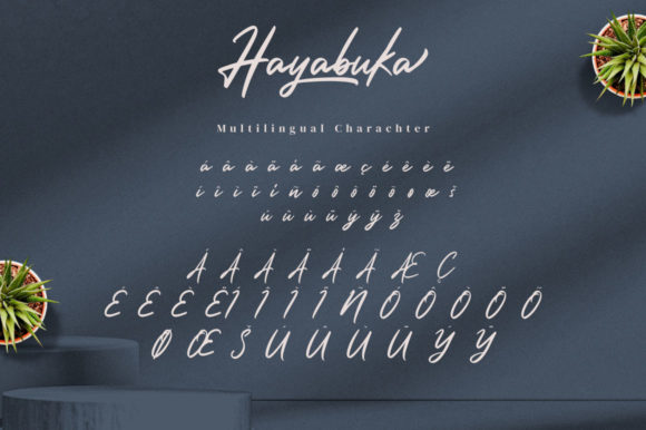 Hayabuka Font Poster 11
