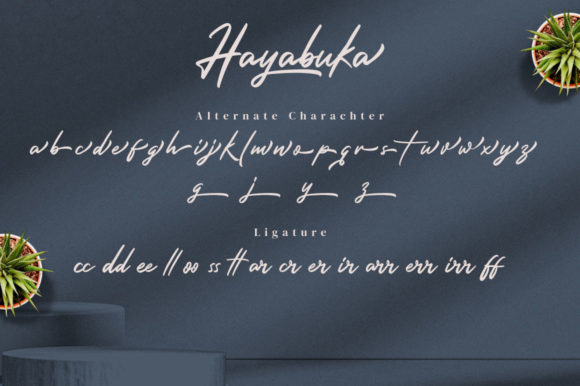Hayabuka Font Poster 12