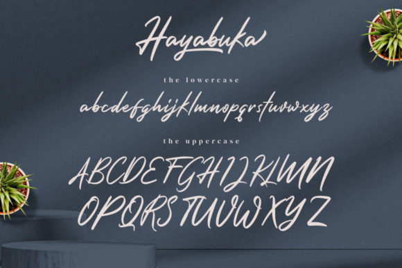 Hayabuka Font Poster 9