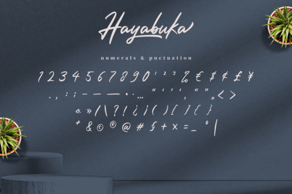 Hayabuka Font Poster 10