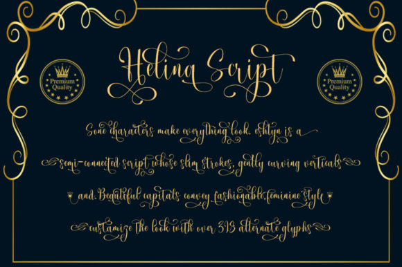 Helina Duo Font Poster 9