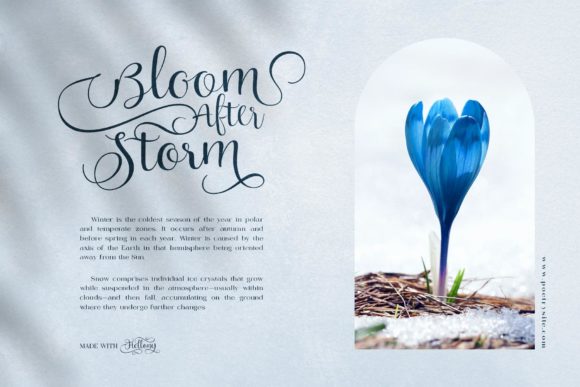 Hellony Font Poster 10