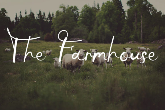 Hey Autography Font Poster 4