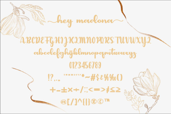 Hey Madona Font Poster 5