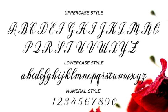Heyhai Script Font Poster 4