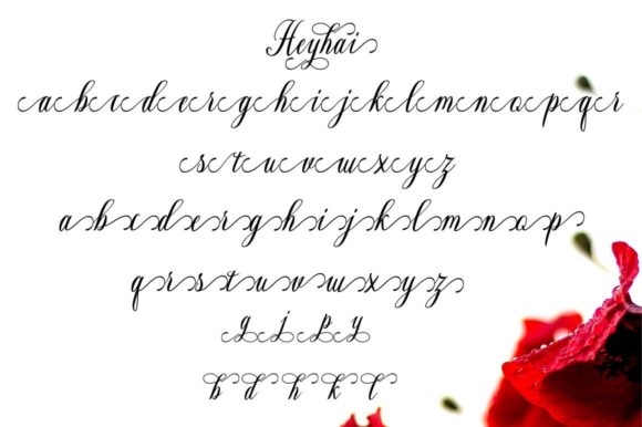 Heyhai Script Font Poster 5