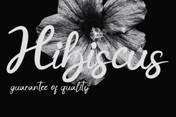 Hibiscus Font Poster 1