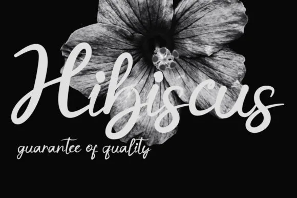 Hibiscus Font Hibiscus Font Poster 1