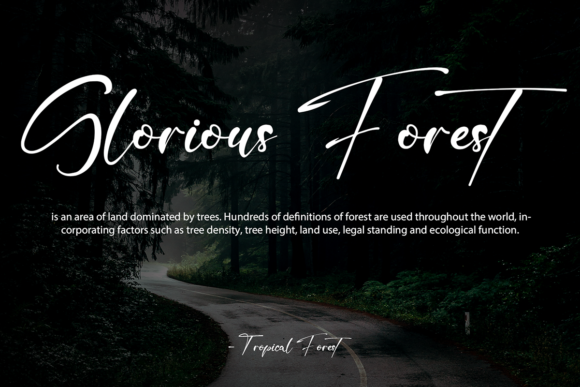 High Horse Font Poster 7