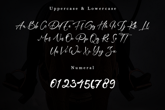 High Horse Font Poster 8
