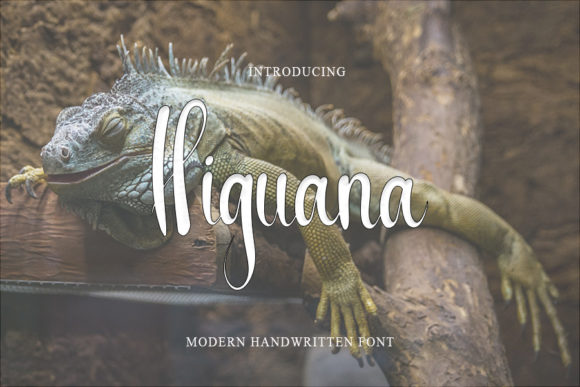 Higuana Font Poster 1