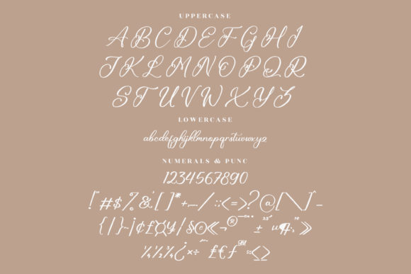 Hillary Bintang Font Poster 13