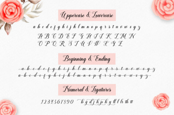 Histerya Script Font Poster 8