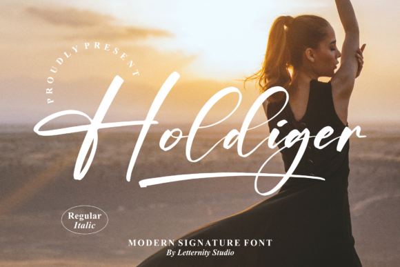 Holdiger Font