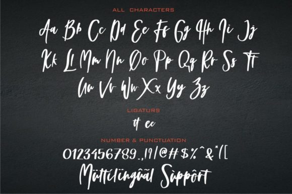 Holla Romansa Font Poster 7