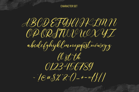 Hollyfur Script Font Poster 8