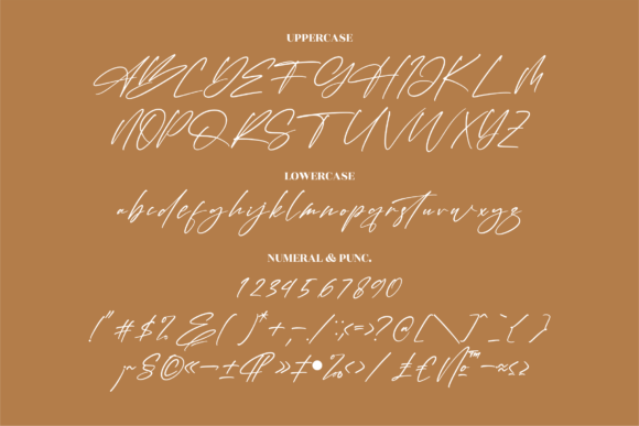 Hondelante Signature Font Poster 13